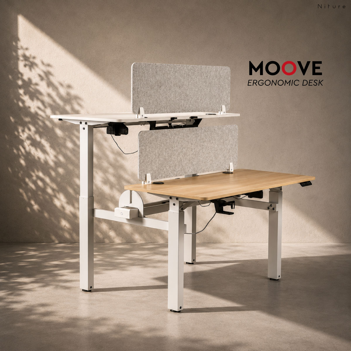 Moove ecosytem v1001