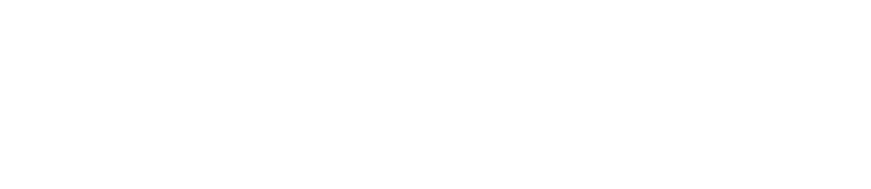 Niture light logo