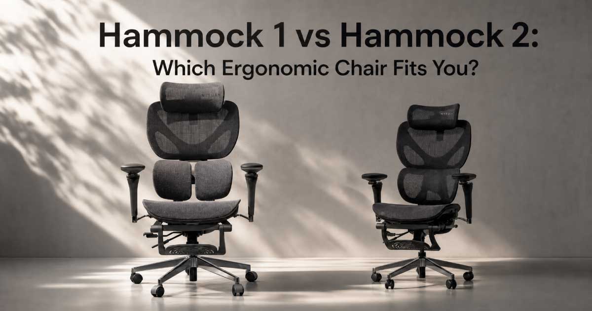Niture Hammock 1 and Hammock 2 ergonomic chairs compared side by side